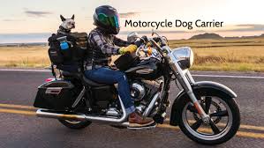It is made to strap onto the luggage rack of your luggage behind the passenger. Best Motorcycle Dog Carriers Pupsbest Com