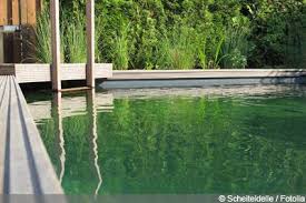 Naturpool Selber Bauen Grundlagen Anleitung Selbstbau Gartendialog De Schwimmteich Selber Bauen Schwimmteich Naturschwimmbader