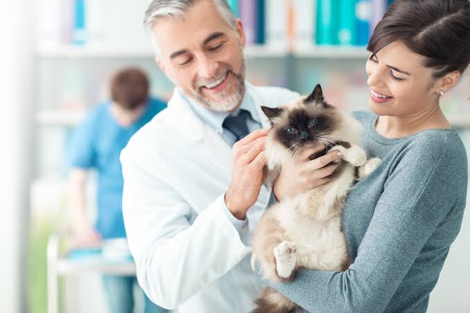 The Benefits of an AAHA-Accredited Veterinary Hospital - Vet In Lebanon |  Lebanon Animal Hospital