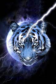 Blue Tiger Pet Tiger Tiger Wallpaper Big Cats Art