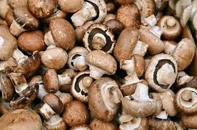 Enoki mushrooms derive from japan, korea, and china. Grow Portobello Mushrooms In 8 Easy Steps Ultimate Guide