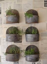 Insanely Cool Herb Garden Container Ideas Vertikaler Krautergarten Krautergarten Drinnen Wandpflanzen