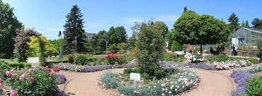 1,804 likes · 18 talking about this · 3,826 were here. Botanischer Garten Solingen Beitrage Facebook