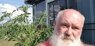 Cherry tomatoes size comparison