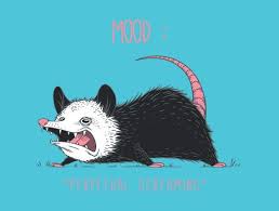 Mood Possum Awesome Possum Possum Cute Animals In the offending cartoon i drew a mother with her eyes glued to a phone and wheeling a pram from which her baby had fallen. mood possum awesome possum possum