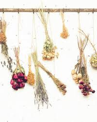 Here, you can buy bulk of flowers in many categories for weddings, events. The Prettiest Flower Shop In New York City Flower Shop Decor Flower Shop Design Flower Shop