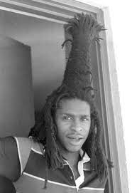 David Dread Hinds Born 15 June 1956 Handsworth Birmingham England Dreadlock Rasta Dreadlock Hairstyles Natural Hair Styles