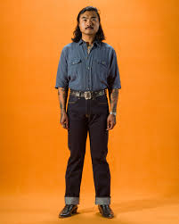 Image result for Indigofera quarrei