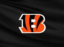 Cincinnati Bengals Tickets | 2026 NFL Tickets & Schedule