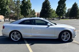 Image result for Ice Silver 2010 S5