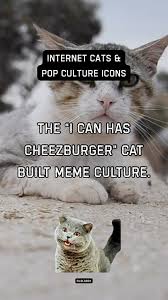 Image result for i can has cheezburger