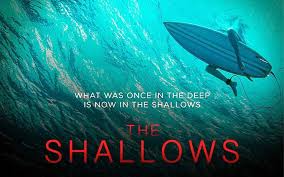 Un requin de récifs, espèce commune dans certaines zones touristiques des caraïbes. The Shallows Critique Du Nouveau Film De Blake Lively Tvqc
