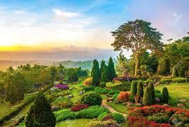 We did not find results for: Beautiful Garden Of Colorful Flowers On Hill In The Morning Stock Photo Picture And Royalty Free Image Image 26733204