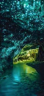 The World Famous Waitomo Glowworm Caves Are One Of New Zealand S Most Celebrated Tourist Attractions The Tiny Glow Worms Orte Zum Besuchen Schone Orte Reisen