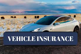 Thank you for considering budget direct insurance! Direct Insurance Services Salt Lake City Ut Insurance Agent