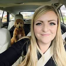 War books like Spring at Blueberry Bay?