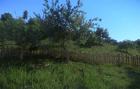 Our new house has 2 apple trees that have obviously seen better days. Apples Everywhere But No Apple Trees Why Gameplay Kingdom Come Deliverance Forum
