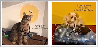 Know of an animal needing rescue?. Yc Community Pet Heroes Hero Fund Home Facebook