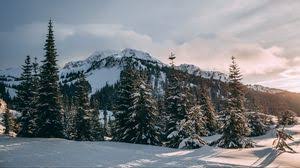 Only the best hd background pictures. Winter 4k Uhd 16 9 Wallpapers Hd Desktop Backgrounds 3840x2160 Images And Pictures