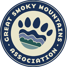 Free Free 190 Smoky Mountain Bear Svg SVG PNG EPS DXF File
