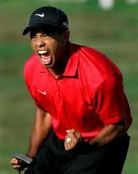 Tiger Woods Makes A Tremendous Chip Shot The 16th In The 2012 Memorial Golf Tournament To Tie Sabbatini For The L Tiger Woods Celebrity Divorce Hole In One
