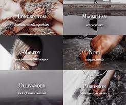 Blackinnon Always Harry Potter Characters Harry Potter Love Harry Potter Aesthetic