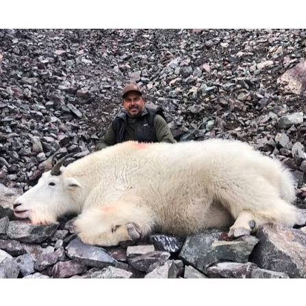British Columbia World Class Mountain Goat Hunts | Huntin' Fool