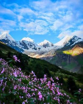 Short Trip to Munsiyari with Panchachuli Peaks | Gogaga Holidays
