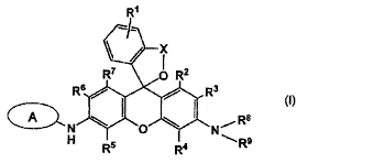 WO2013180181A1 - Fluorescent probe for high-sensitivity pancreatic fluid  detection, and method for detecting pancreatic fluid - Google Patents