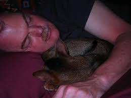 Kent Campbell's Instagram, Twitter & Facebook