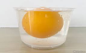 do oranges float or sink