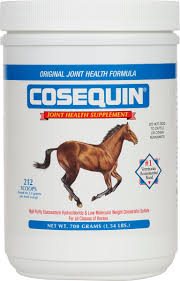 Cosequin Equine Concentrate Joint Supplement For Horses
