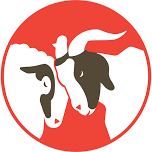 Halloween Event — Rancho Compasión