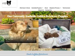 They are smart, loving, playful, and we believe you'll fall in love with the english golden as much as we have! Retriever Home Com Delivery Scam Review