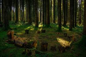 Circle Clearing In Woods Google Search Nature Photography Sacred Circle Nature Scenes