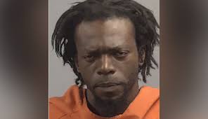 GOLDSBORO POLICE: Goldsboro man arrested after chase and standoff