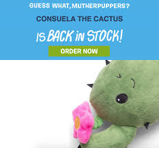 My dog destroyed her toy cactus, and there was another sad cactus inside. Facebook