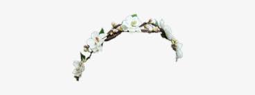 Daisy Flower Crown Transparent Flower Headband Png Transparent Free Transparent Png Download Pngkey This breathtaking large flower crown is unique and one of a kind! daisy flower crown transparent flower