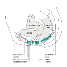 Wehen / schmerzerleichterung / partnermassagen. Beckenbodentraining Nach Der Geburt Lillydoo Magazin