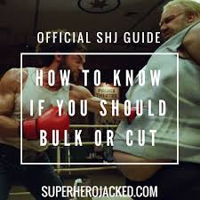 how to know if you should bulk or cut