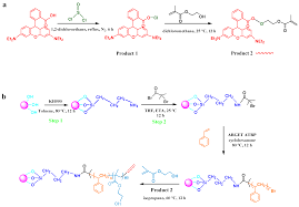 Get rewards and airmiles for every ringgit spent, free travel insurance, and a. Polymers Free Full Text Surface Induced Arget Atrp For Silicon Nanoparticles With Fluorescent Polymer Brushes Html