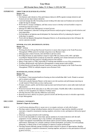 business planning resume samples