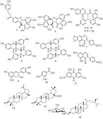 Image result for Ochna afzelii