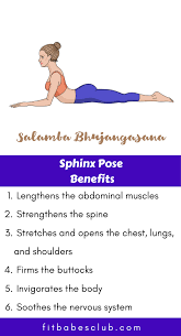 How To Do Sphinx Pose And Benefits Yoga Information Easy Yoga Workouts Yoga For Beginners