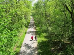 South leaf trail traverses high above el corte de madera creek through pretty conventional looking forest. Oak Leaf Trail Art Museum To Lake Park Great Runs