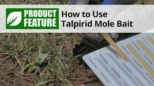 We provide access to educational resources to help you select, purchase, and todays professionals use integrated pest management techniques which include traps and exclusion methods to control pests. How To Use Talpirid Mole Bait Domyown Com Youtube