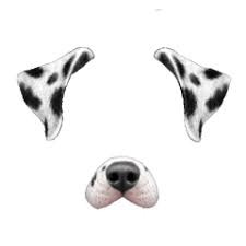 Iok Picsart Png Tumblr Ayigomez Snapchat Dog Filter Dog Filter Picsart Png