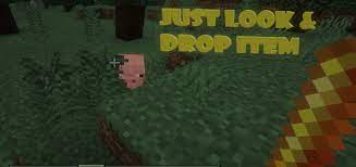 Search for download mcpe all versions. Morphing Addon Minecraft Pe Mods Addons
