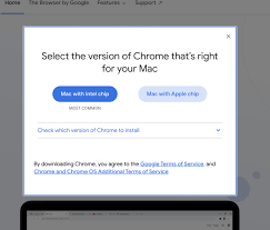 Fast access to the various websites, low resource consumption, viewing of pdf files, support of the popular search engines and many other features. Google S Native Version Of Chrome For Apple S Arm Macs Is Out Now The Verge