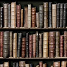 Papier Peint Bibliotheque Retro Trompe L Oeil Rouleau 7 68 M Papier Peint Decoration Mural Papier Peint Bibliotheque Papier Peint Bibliotheque Ancienne